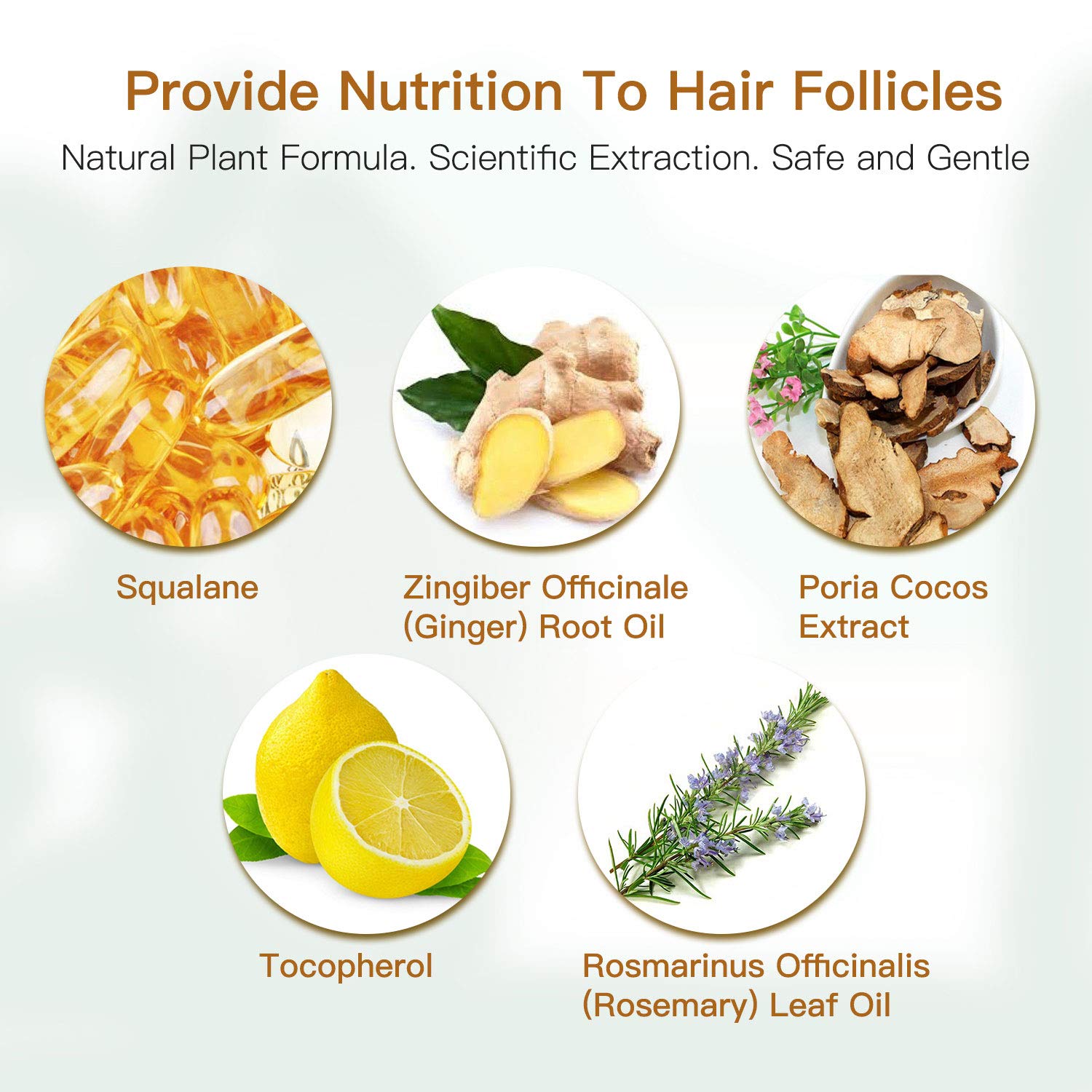 Hair Growth Serum MayBeau Essential Oil Upgrated Hair Growth Treatment With Thinning Hair Loss Hair Loss Treatment for Men and Women : Beauty