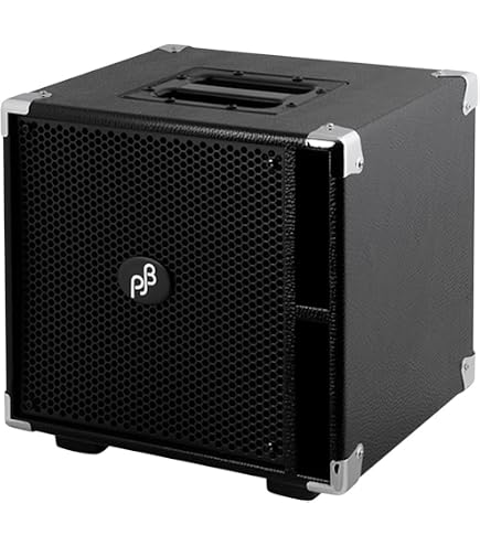Amazon.com: Phil Jones Bass Cab 27 2 x 7-inch 200-watt 8-ohm Bass