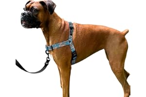 ShawnCo Dream Walk No-Pull Dog Harness- Adjustable, Comfortable, Easy to Use Pet Halter to Help Stop Pulling for Small, Medium and Large Dogs- Art Pattern Designs (Freckle's Garden, M)