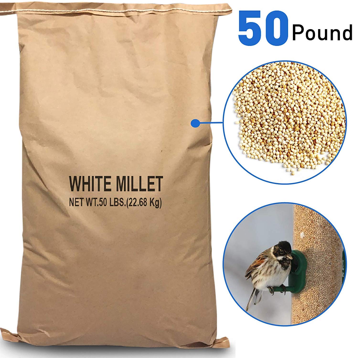EasyGoProducts White Millet Wild Bird Food 50 lb, Brown MyDogsLife