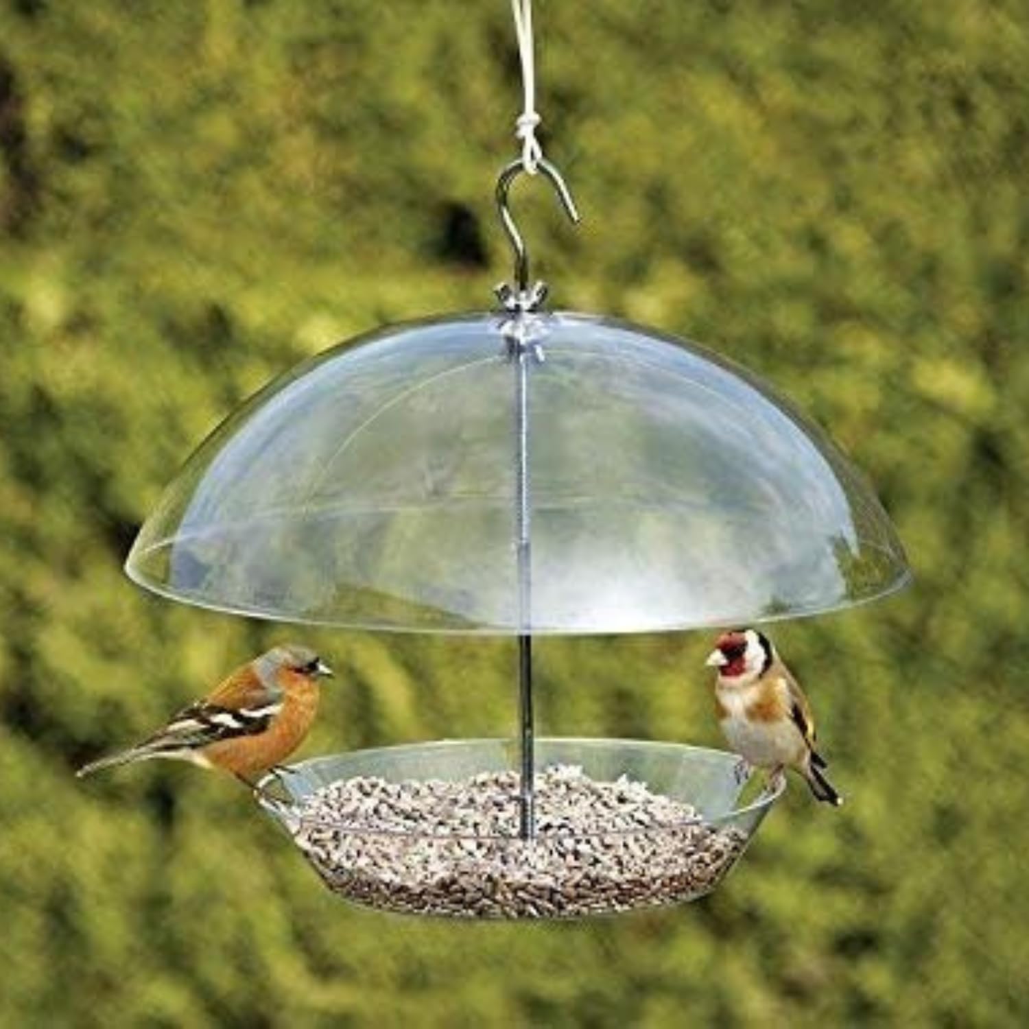 Garden Mile® Clear Covered Dome Canopy Adjustable Hanging Bird Feeders Garden Bird Feeders Seed Feeder Easy Clean and Fill Removable Tray With Hanging Hook For Small Birds - Keeps Big Birds Out