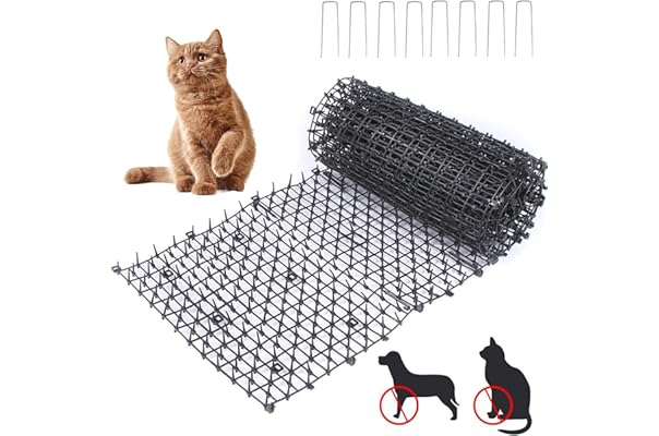 scat mat amazon