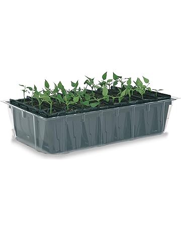 Amazon.es: Semilleros - Invernaderos y equipos de germinación: Jardín