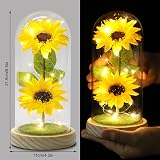 Touloube Sunflower Glass Dome LED Gift for Women Mothers Day Birthday view 2
