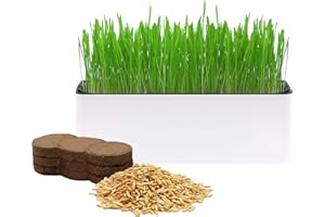 Environet Cat Grass for Indoor Cats with Organic Cat Grass Seed Mix - Self-Watering Rectangular Planter | Fresh Indoor Cat Grass Garden | Perfect for Cats, Dogs & Small Pets