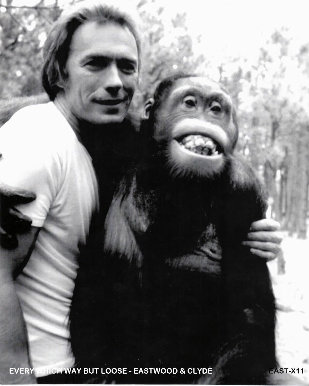 Clint Eastwood & Clyde B&W Every Which Way But Loose 8 x 10 Celebrity Photo Photograph Rare Find