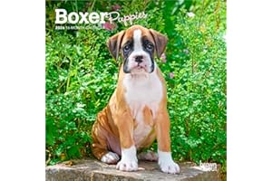 Boxer Puppies | 2026 7 x 14 Inch (Hanging) Monthly Mini Wall Calendar | BrownTrout | Animals Dog Breeds Puppy