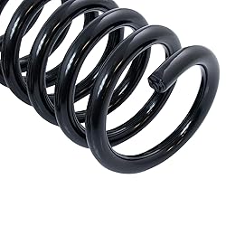 TRQ Rear Suspension Coil Spring Pair Set for