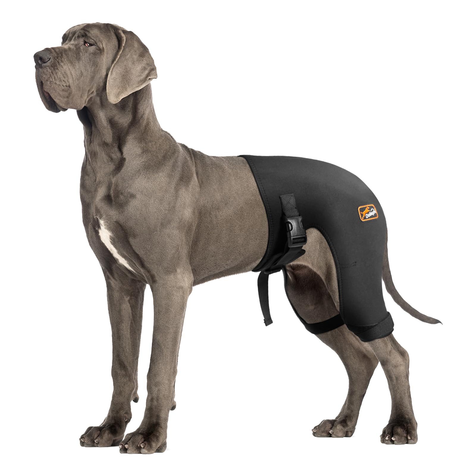 Photo 1 of Dog Hip Brace with Hot/Cold Compress, Support for Hip Dysplasia, Arthritis, Back Leg limping, Prevents Hip Joint Issues, Reduce Hip Pain etc(Female Dog, XXL)