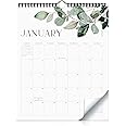 Aesthetic 2025-2026 Wall Calendar - Runs from January 2025 Until July 2026 - The Perfect Modern Greenery Calendar Planner for Easy Organizing