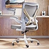 Ergonomic Office Chair with Lumbar Support