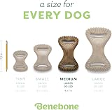 Benebone Dental Dog Chew Toy Real Bacon Flavor Medium Dogs 60 lb USA view 4
