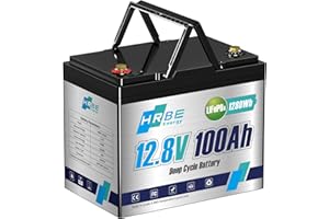 HRBEENERGY 12V 100Ah LiFePO4 Battery, Group 24 Lithium Batteries with 100A BMS, UP to 5000+ Deep Cycles Lithium Iron Phosphate Battery, Perfect for RV, Marine, Solar, Boats