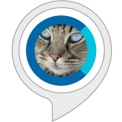 Cat Facts Alexa Skills