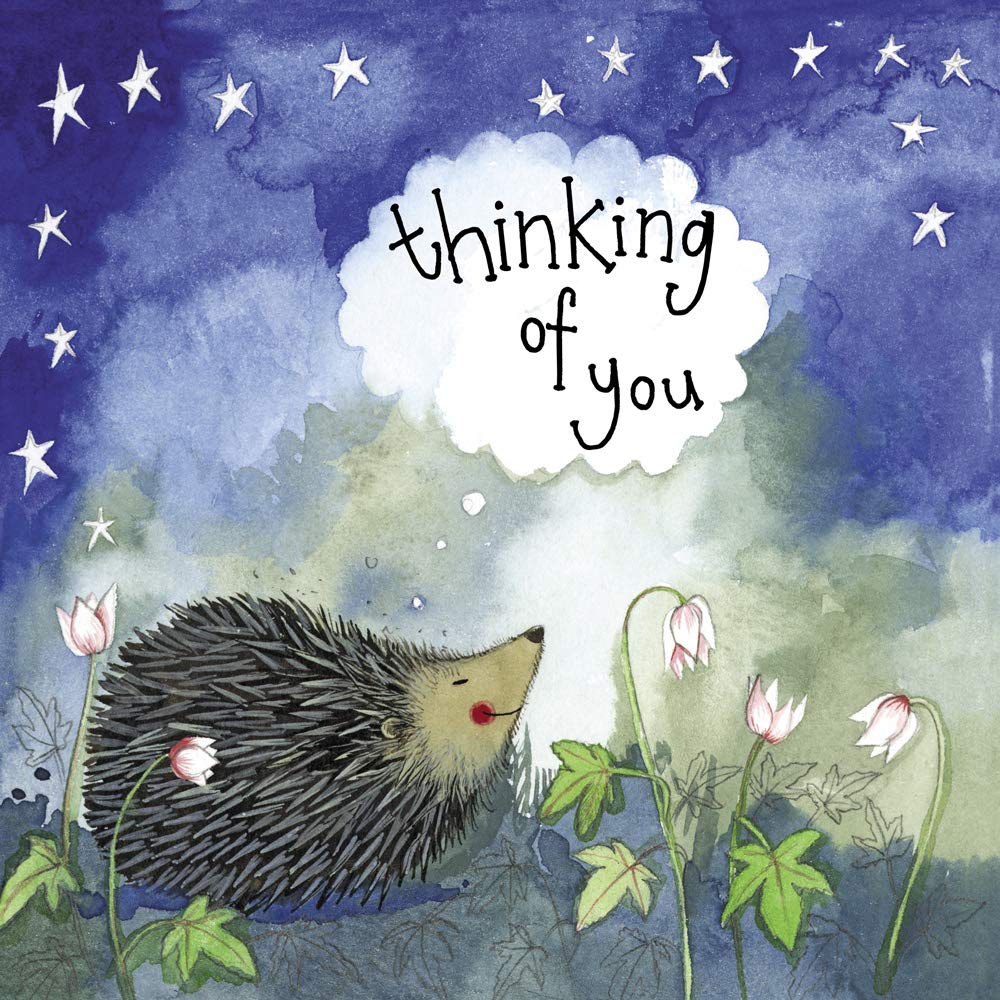 ALEX CLARK Hedgehog Thinking of You Card