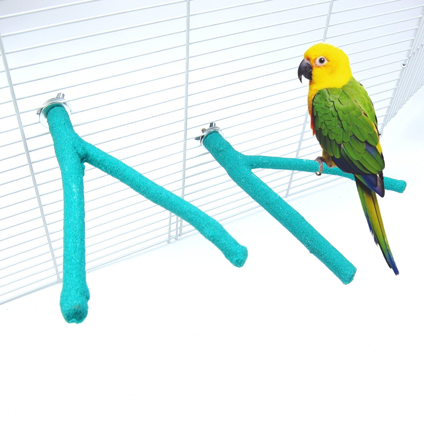 Which Is The Best Cement Bird Ladder