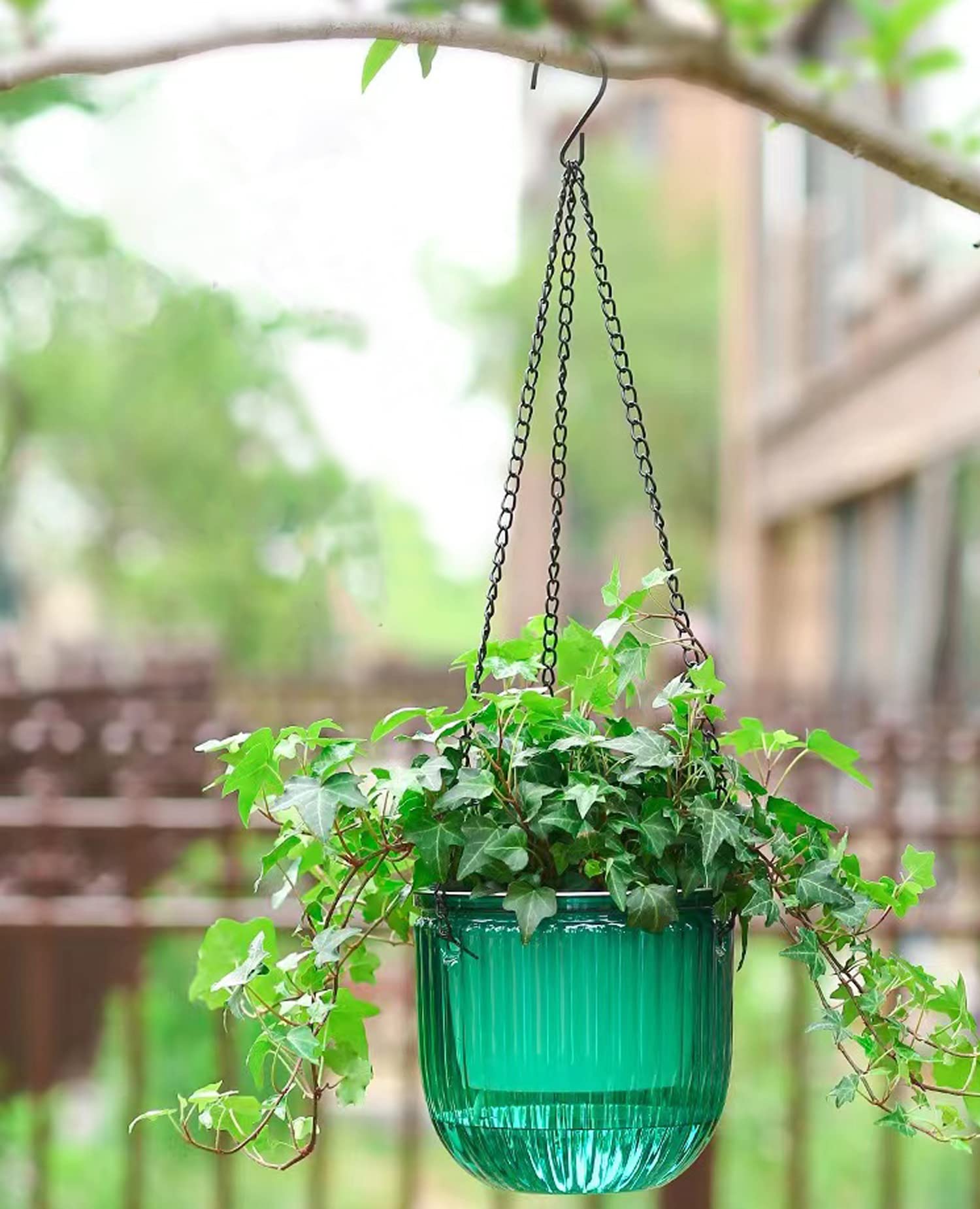 Self Watering Hanging Planters