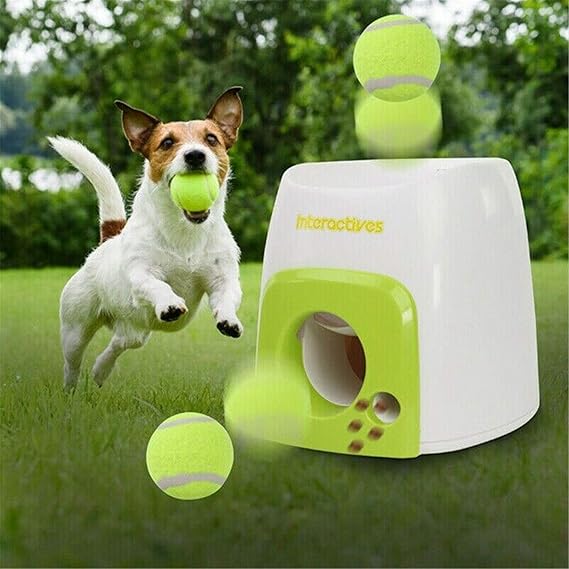 dog thrower toy