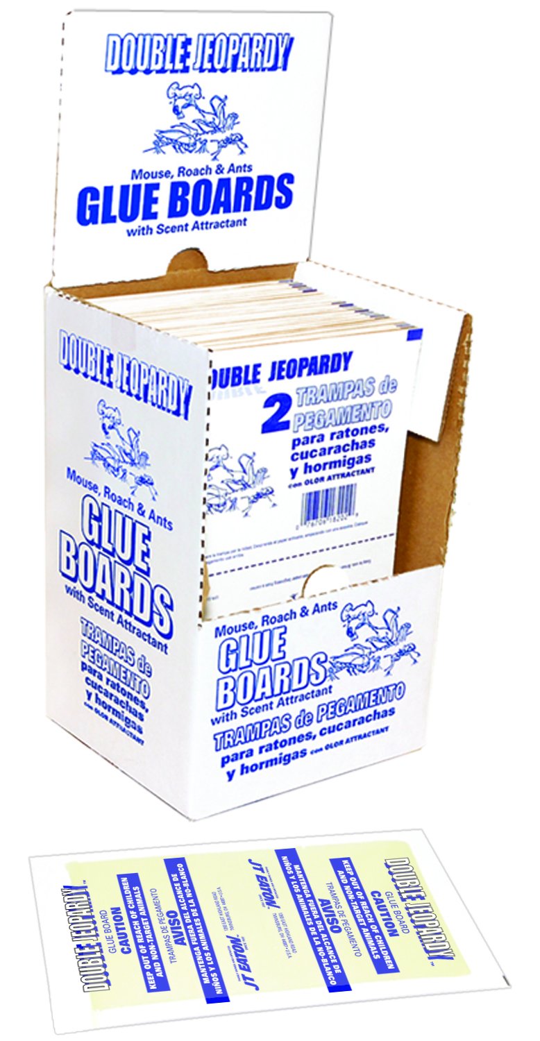 JT Eaton Double Jeopardy 182B Glue Board with Release Paper, 5-1/4