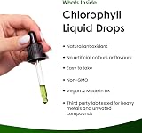 NEW LEAF PRODUCTS Liquid Chlorophyll Drops 100ml High Strength 100mg view 2