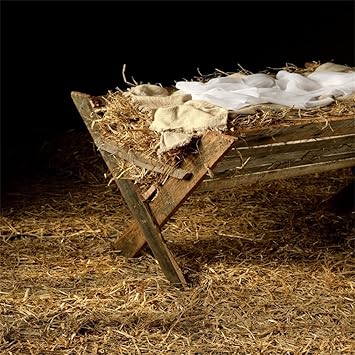 Amazon Com Aofoto 10x10ft Vintage Manger Filled With Hay