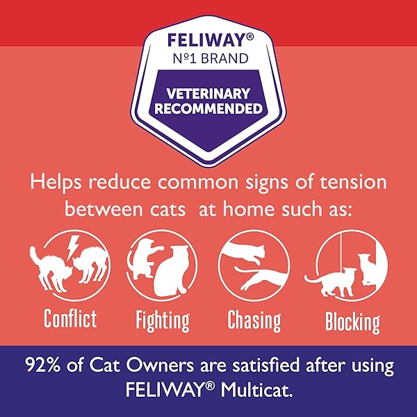 FELIWAY MULTICAT 30 DAY CAT CALMING PLUG IN PHEROMONE DIFFUSER STARTER KIT, 48ML – HELPS REDUCE CONFLICTS AND SIGNS OF TENSION IN MULTI-CAT HOUSEHOLDS