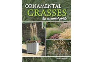 Ornamental Grasses: An Essential Guide