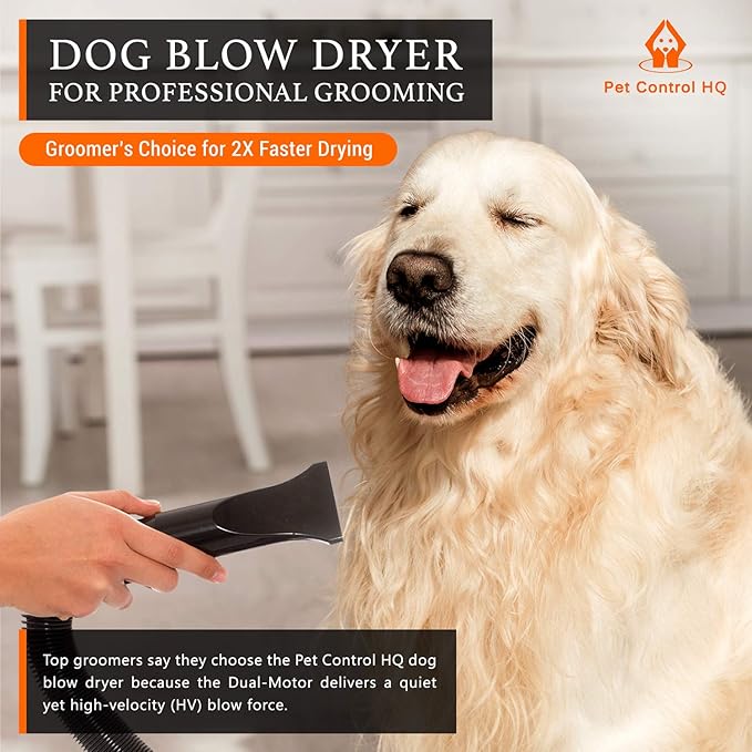 quiet blow dryer for dogs