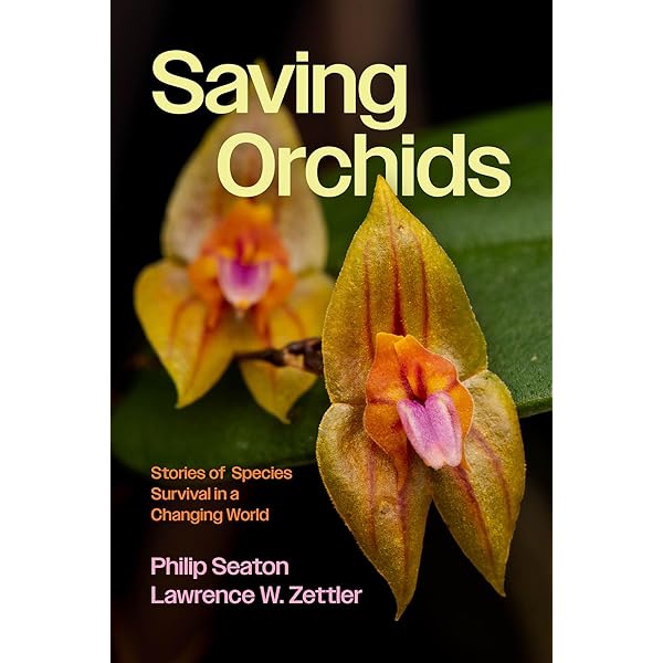 Orchid Species Culture: Dendrobium: Baker, Charles O., Baker