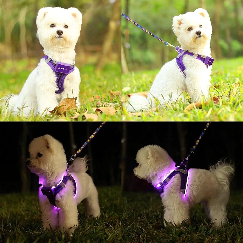 Pettorina luminosa per cani, ricaricabile a LED, pettorina luminosa
