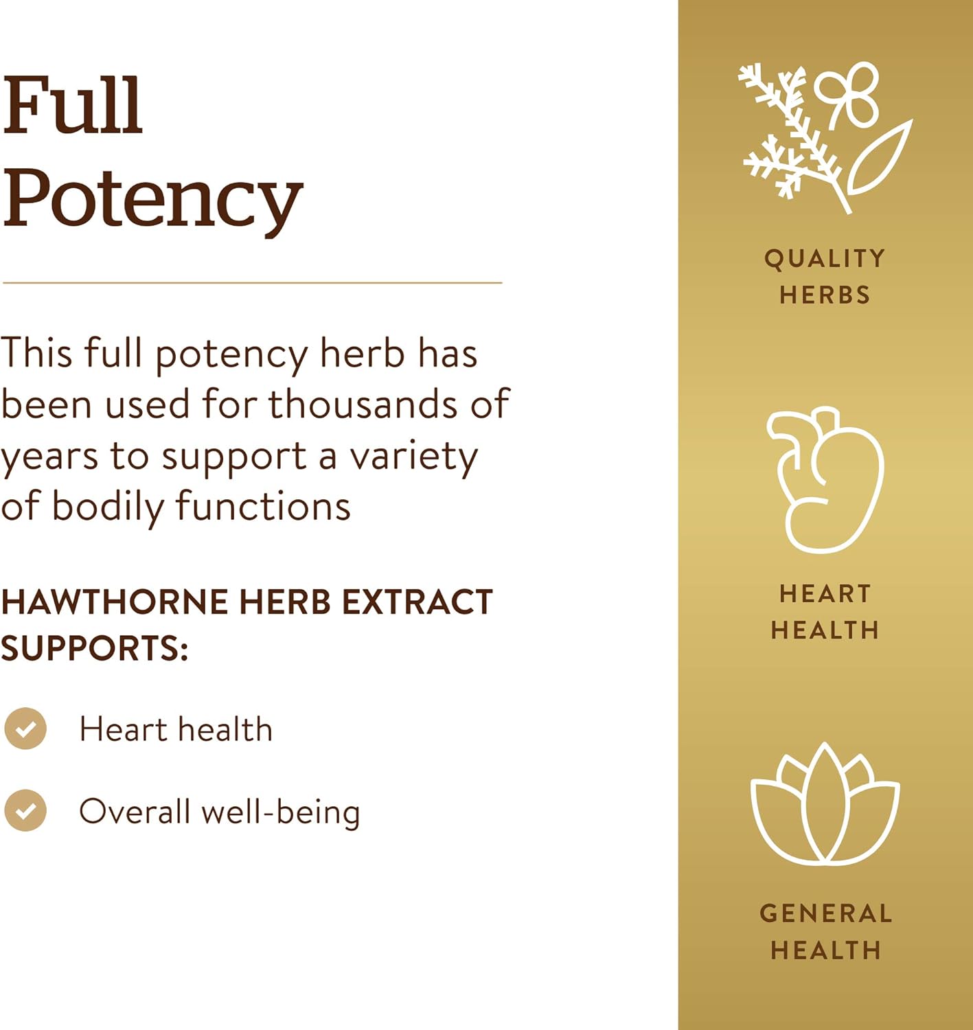 Solgar Standardized Full Potency Hawthorne Berry Herb Extract Vegetable Capsules, 60 Count: Health & Personal Care
