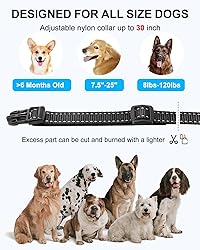 No Shock Dog Training Collar with Remote, Dog