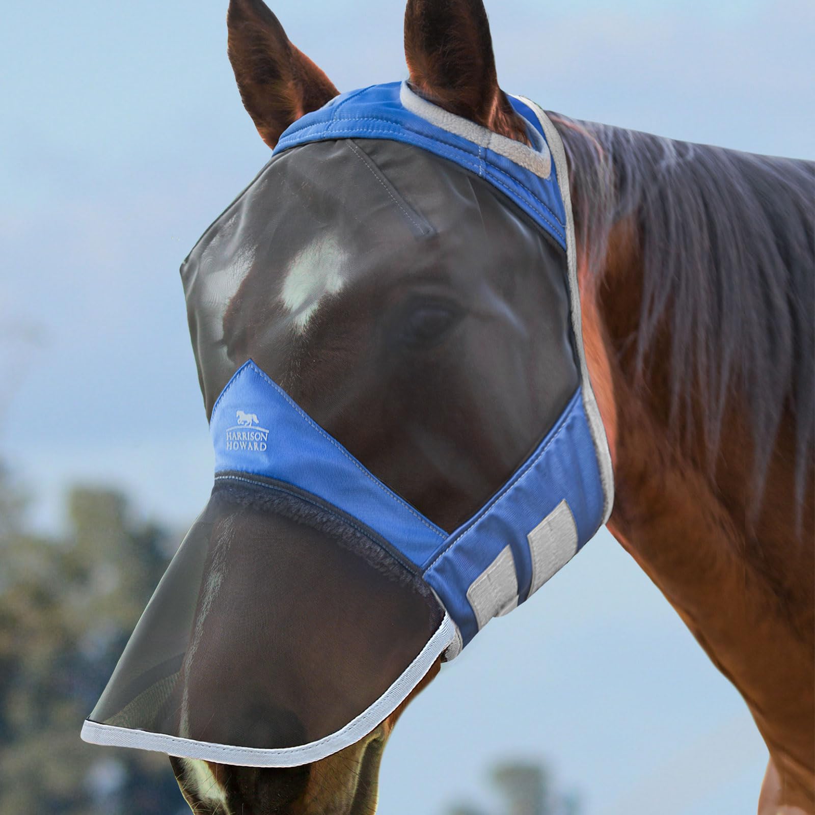 Harrison Howard CareMaster Pro Luminous Fine Mesh UV-proof Fleece Padding Fly Mask Full Face No Ears Aquamarine (M; Cob)