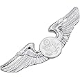 Air Force Aircrew Metal Decal Auto Emblem