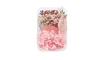 Natural Dried Flowers, Real Dried Pressed Flowers and Leaves Dried Flowers Set Mixed Multiple Natural Dried Flowers Leaves fo