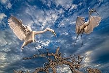 Review Image by Bill & Deb