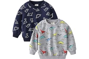NautySaurs Boys Toddlers Dinosaurs Sweatshirts Long Sleeve Shirt Pullover Tops
