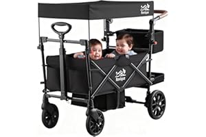 ROVIQUE Wagon Stroller for 2 Kids, Premium Stroller Wagon for Kids with Removable Canopy, Safety Harness, Adjustable Handlebar & Storage Organizer, All-Terrain Foldable Baby Wagon for Outdoors