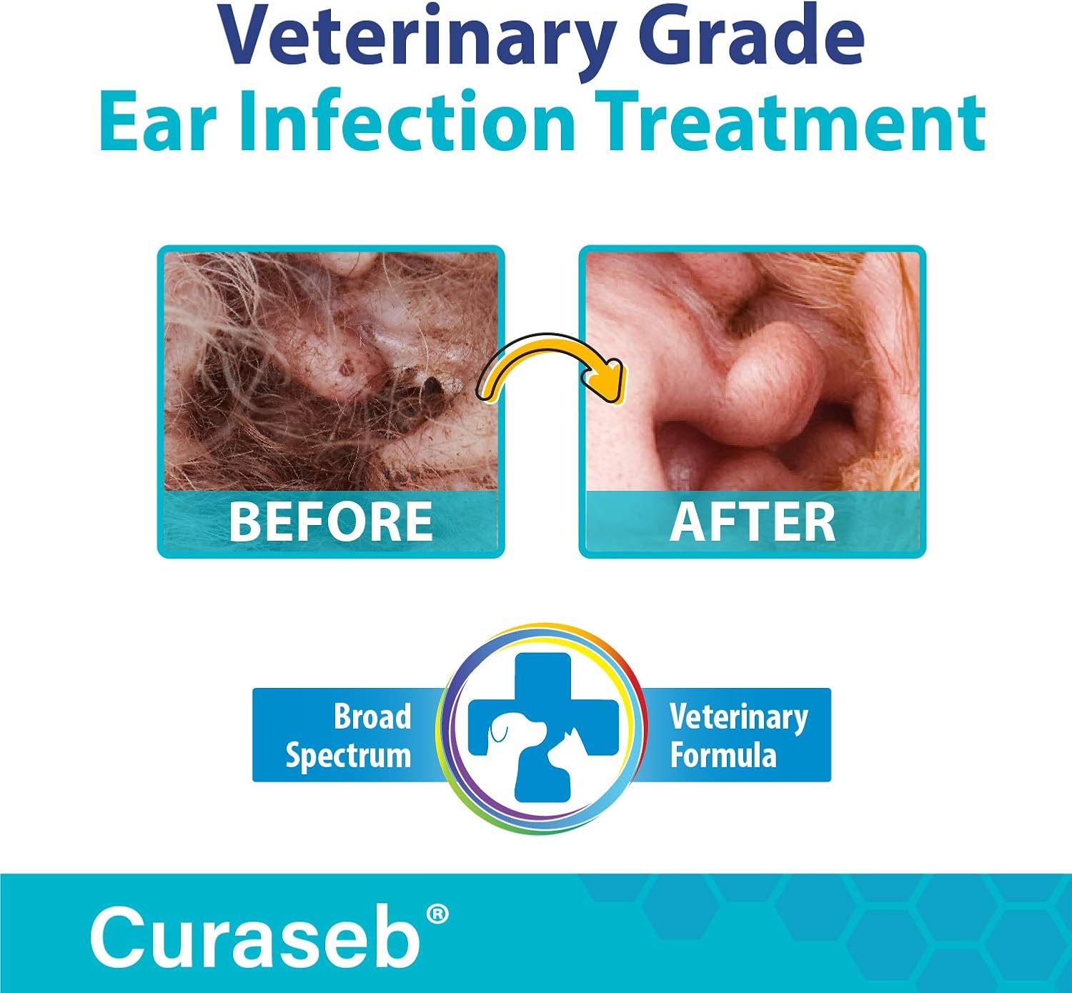 curaseb antiseptic ear flush