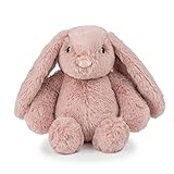 Best Pet Supplies Interactive Squeaky Dog Chew