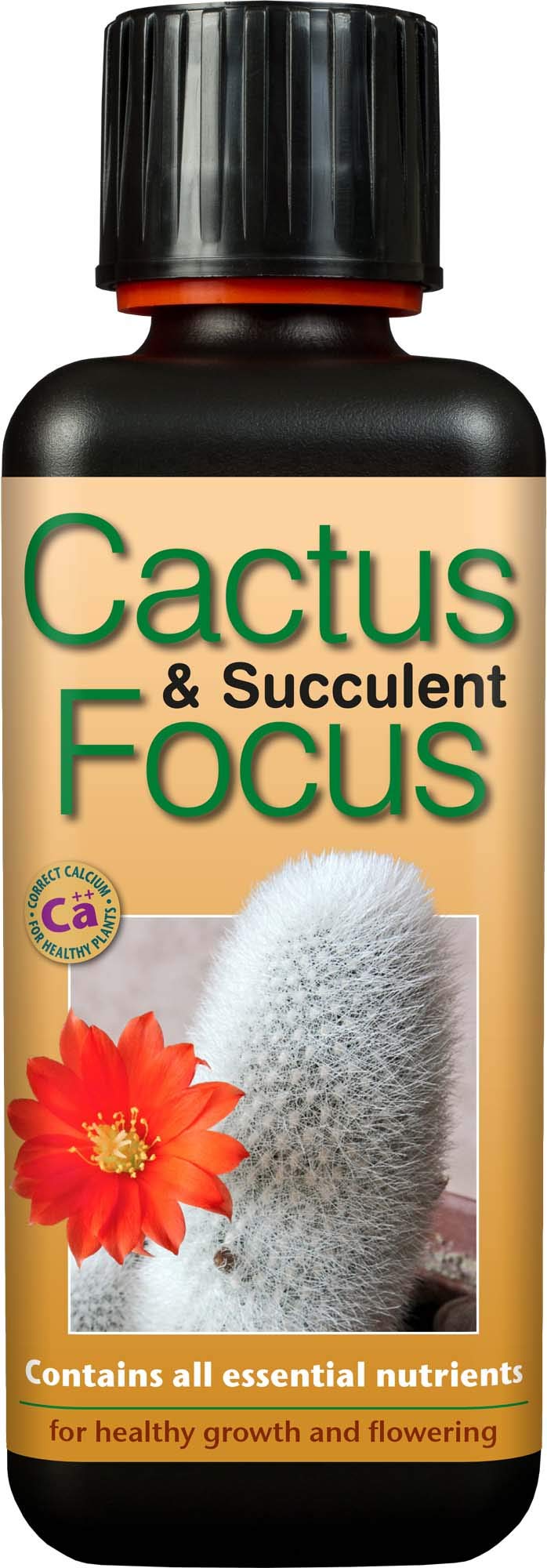Growth Technology Ltd GTCAF300 Cactus and Succulent Focus 300ml - Black