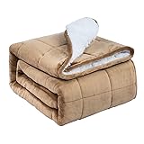 BUZIO Sherpa Fleece Weighted Blanket for Adult, 20