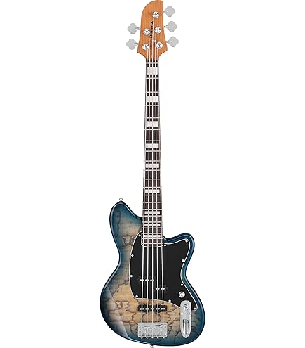 その他 Callahan J BASS 5st(USA) Amazon.com: Jackson JS Series 5-String Spectra Bass JS3QV, Purple