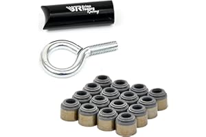 MICHIGAN MOTORSPORTS BTR Brian Tooley Racing LS Valve Seal Kit with Install Tool - Fits 4.8L 5.3L 5.7L 6.0L 6.2L 7.0L LS Engines - Compatible with Dual Valve Springs - LS1 LS2 LS3 Applications