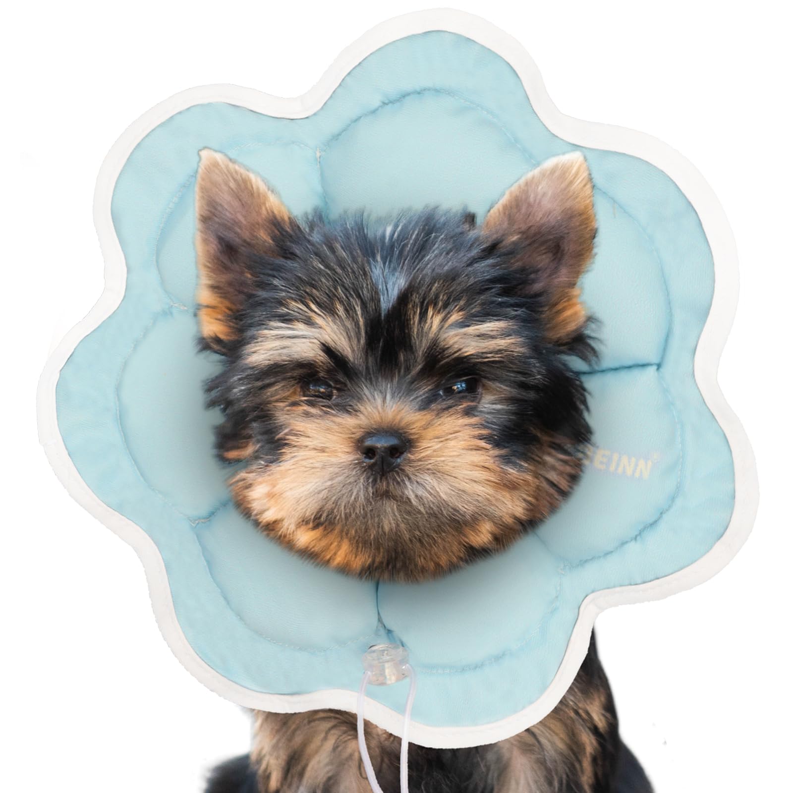 Photo 1 of Soft Small Dog Cone Collar Alternative for Small Dogs(Puppy Yorkshire Puppy Chihuahua Pomeranian), Comfortable Dog Neck Recovery Cone, Adjustable Head Pillow Cone After Surgery to Stop Licking