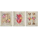 SUMGAR Wall Art Human Anatomy Posters 8x10 Vintage Dictionary Unframed Prints Sechars - Abstract Human Brain Rib Cage Heart w