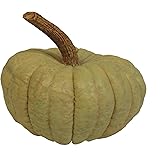 Amazon.com: Hickory Manor House Flat Jarrahdale Pumpkin for Home Decor ...