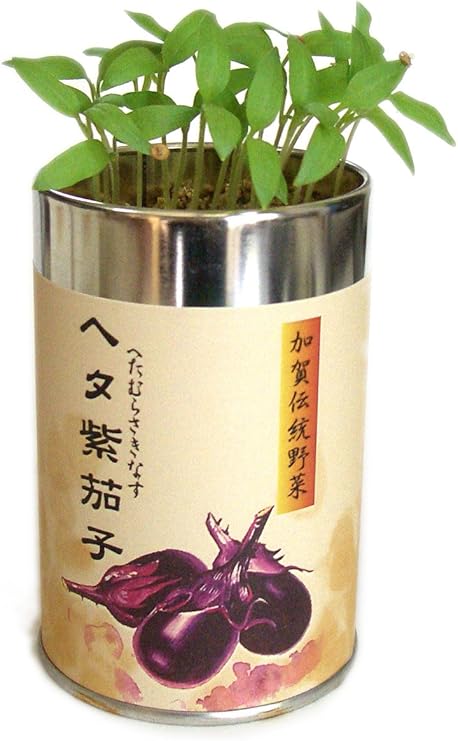Amazon 伝統野菜栽培セット ヘタ紫茄子 Diy 工具 ガーデン Amazon 伝統野菜栽培セット ヘタ紫茄子 Diy 工具 ガーデン
