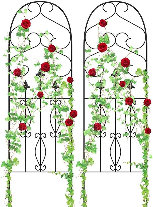 Amagabeli - Enrejado de jardín para plantas trepadoras, 152, 4 x ...