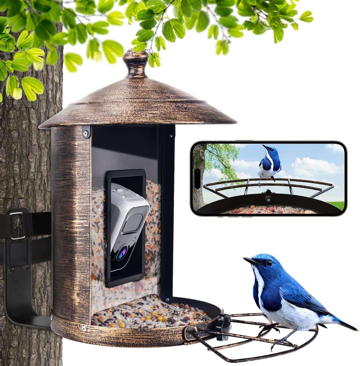 Backyard Birding & Wildlife - Daulpell Bird Feeder with Camera, 1080p HD Camera Bird feeders for Outside, 2.7L Large Capacity Squirrel Proof Bird feeders, with 32 G SD Card.
